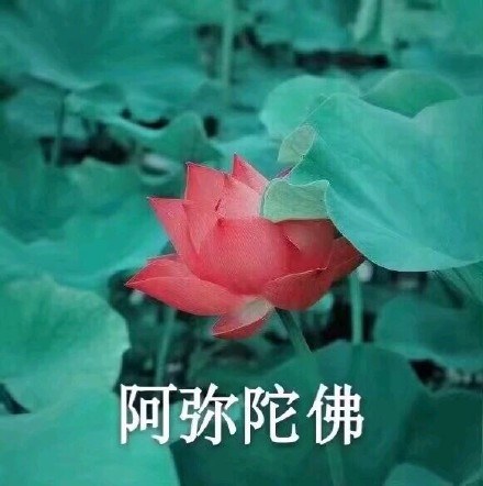 meme-fu.jpg
