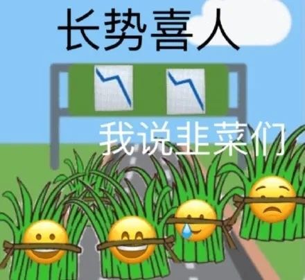 被割的韭菜，往往以为自己握着镰刀