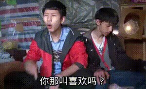 meme-zhenxiang.jpg